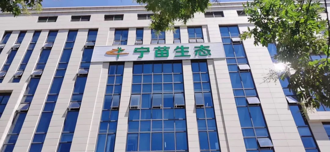 1717641693540780.jpg 1717641693540780.jpg