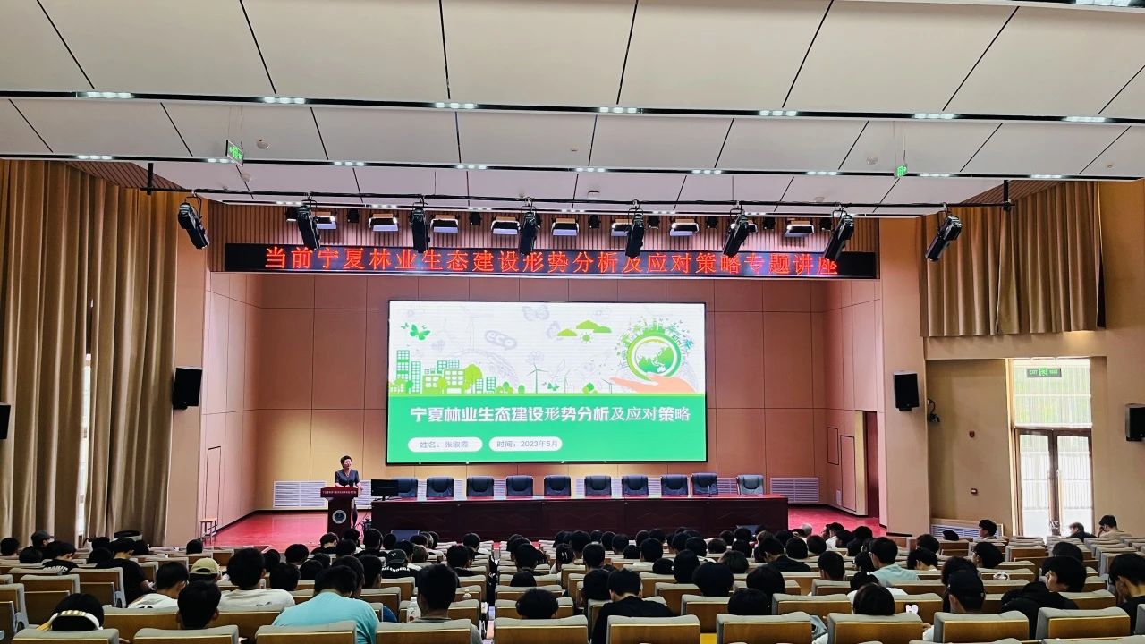 1717656604519307.jpg 2.jpg