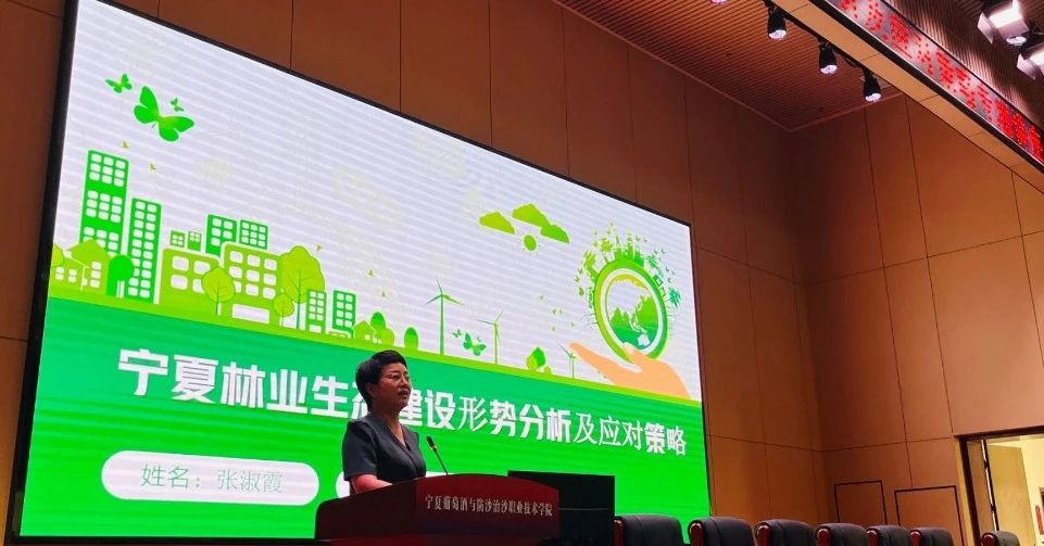 1717656615125011.jpg 3.jpg